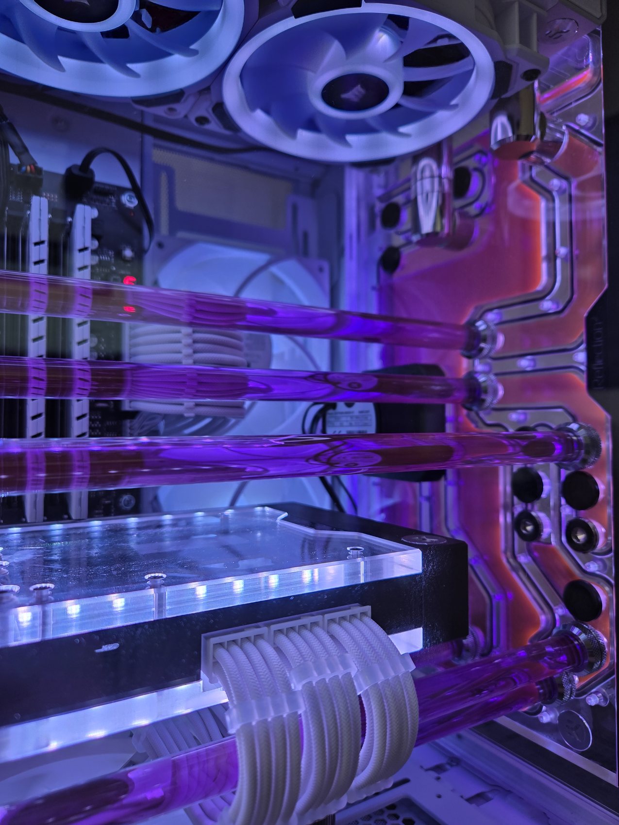 Magenta white-case build detail, tubing close-up