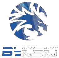 Bykski